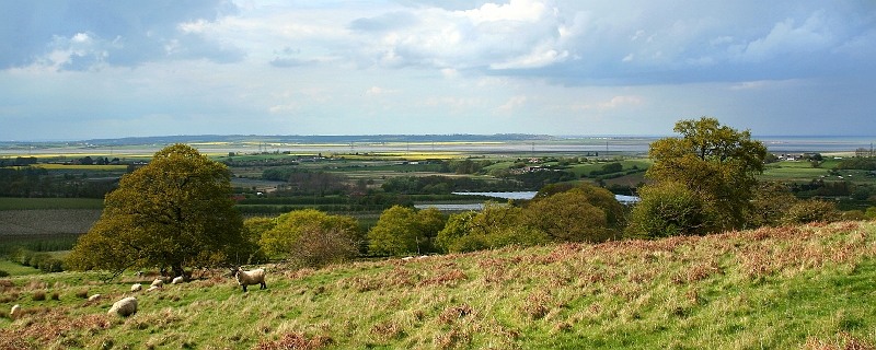NZ Bank towards Sheppey.jpg